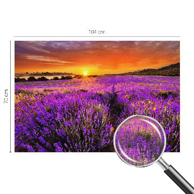 Samolepilna fototapeta z motivom sončnega zahoda sivke