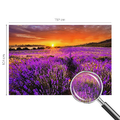 Samolepilna fototapeta z motivom sončnega zahoda sivke