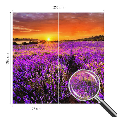 Samolepilna fototapeta z motivom sončnega zahoda sivke