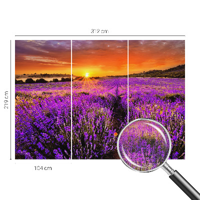 Samolepilna fototapeta z motivom sončnega zahoda sivke