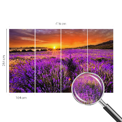 Samolepilna fototapeta z motivom sončnega zahoda sivke