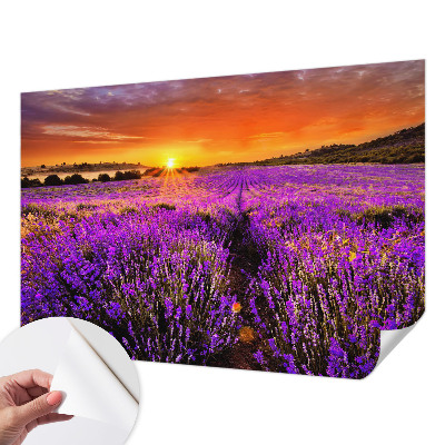 Samolepilna fototapeta z motivom sončnega zahoda sivke