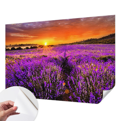 Samolepilna fototapeta z motivom sončnega zahoda sivke