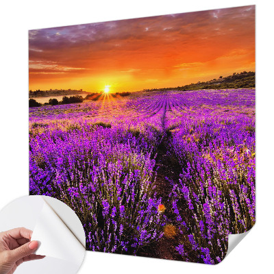 Samolepilna fototapeta z motivom sončnega zahoda sivke