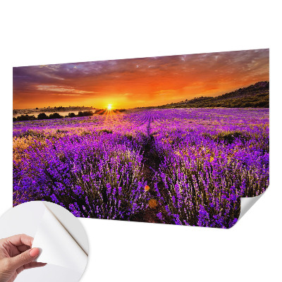Samolepilna fototapeta z motivom sončnega zahoda sivke