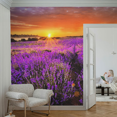 Samolepilna fototapeta z motivom sončnega zahoda sivke
