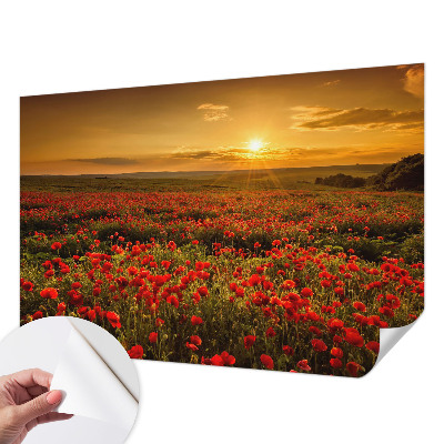 Samolepilna fototapeta za spalnico z motivom makovega polja