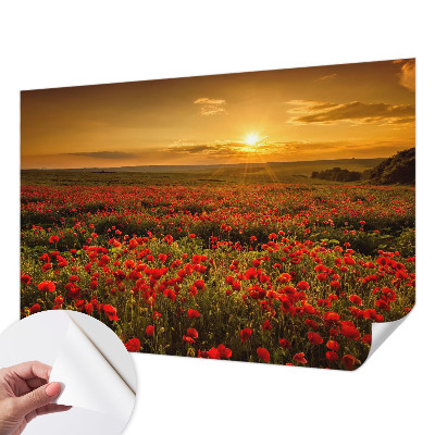 Samolepilna fototapeta za spalnico z motivom makovega polja