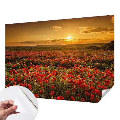 Samolepilna fototapeta za spalnico z motivom makovega polja