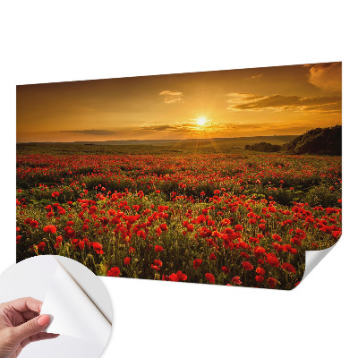 Samolepilna fototapeta za spalnico z motivom makovega polja