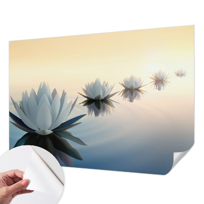 Samolepilna fototapeta za dnevno sobo Miren razgled