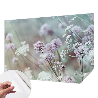 3D fototapeta z motivom divjih rož