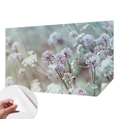3D fototapeta z motivom divjih rož