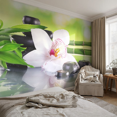 Samolepilna fototapeta za spalnico Mir narave