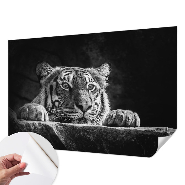 Samolepilna fototapeta z motivom plenilskega pogleda