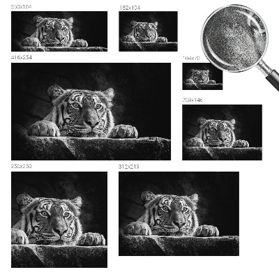Samolepilna fototapeta z motivom plenilskega pogleda