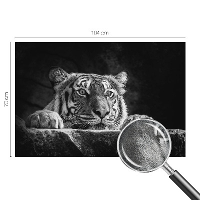 Samolepilna fototapeta z motivom plenilskega pogleda