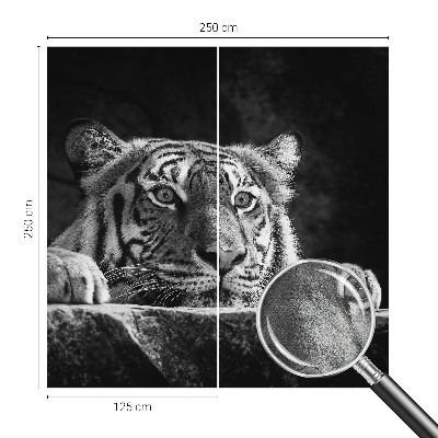 Samolepilna fototapeta z motivom plenilskega pogleda