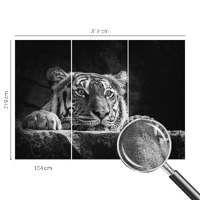 Samolepilna fototapeta z motivom plenilskega pogleda