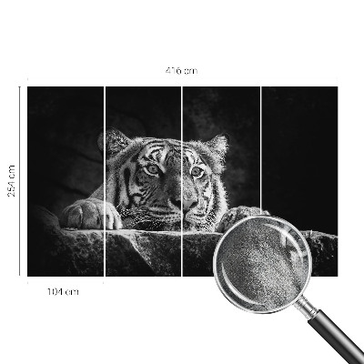 Samolepilna fototapeta z motivom plenilskega pogleda