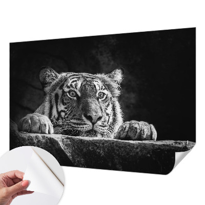 Samolepilna fototapeta z motivom plenilskega pogleda
