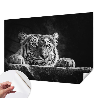 Samolepilna fototapeta z motivom plenilskega pogleda
