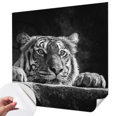 Samolepilna fototapeta z motivom plenilskega pogleda