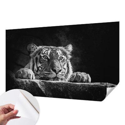 Samolepilna fototapeta Plenilski pogled