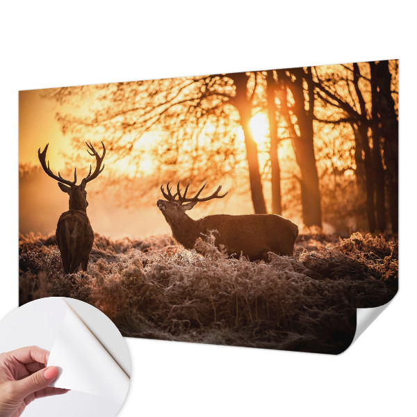 3D fototapeta z motivom jelena ob jutranjem svitu