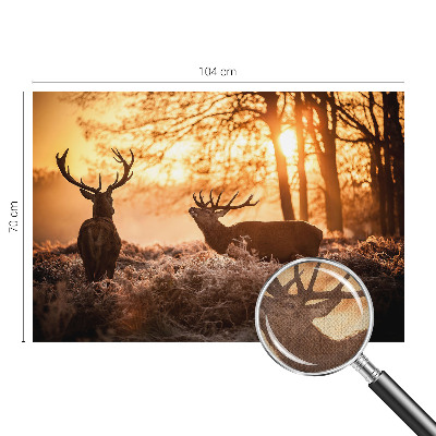 3D fototapeta Jelen zjutraj