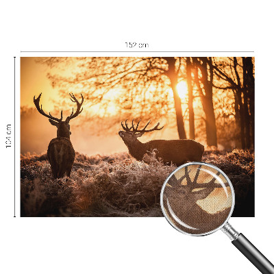 3D fototapeta Jelen zjutraj