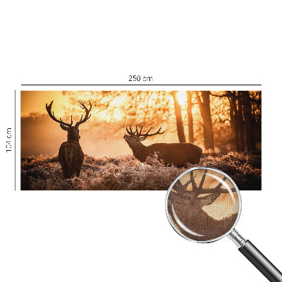 3D fototapeta Jelen zjutraj