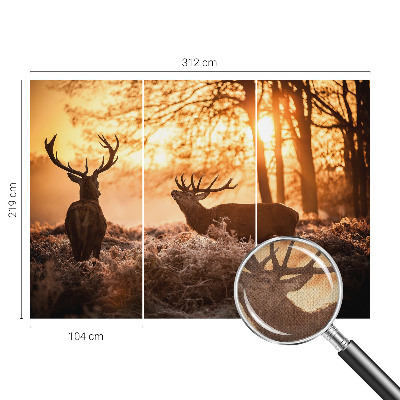 3D fototapeta Jelen zjutraj