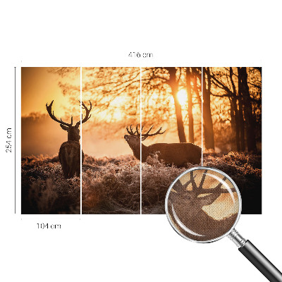 3D fototapeta Jelen zjutraj