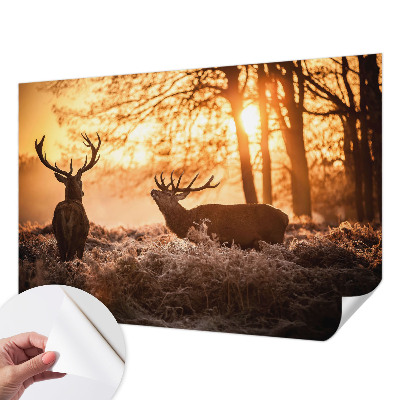 3D fototapeta z motivom jelena ob jutranjem svitu