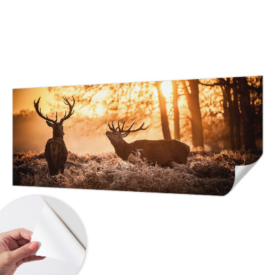 3D fototapeta z motivom jelena ob jutranjem svitu