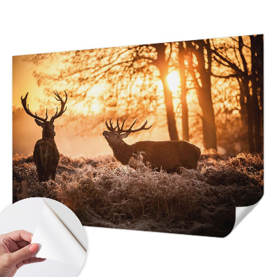 3D fototapeta z motivom jelena ob jutranjem svitu