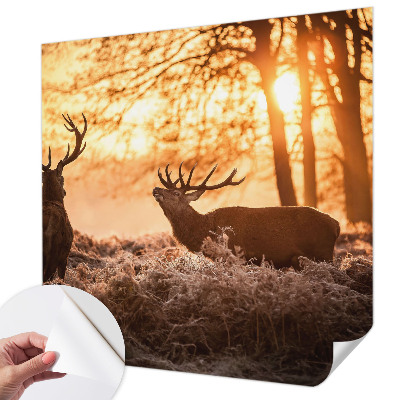 3D fototapeta z motivom jelena ob jutranjem svitu