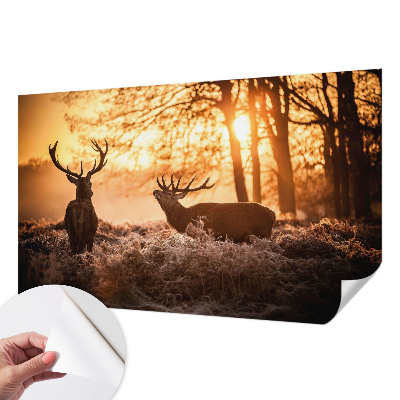 3D fototapeta z motivom jelena ob jutranjem svitu