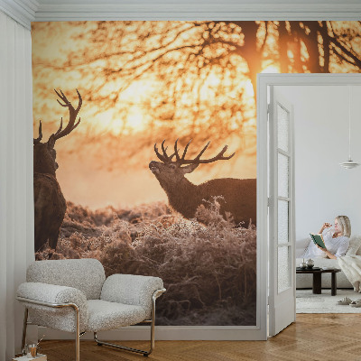 3D fototapeta z motivom jelena ob jutranjem svitu