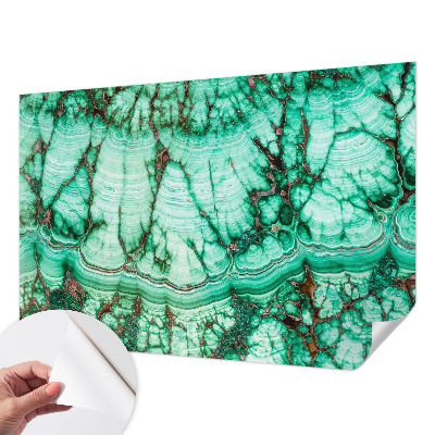 Samolepilna fototapeta za dnevno sobo Zeleni vzorci