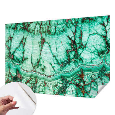 Samolepilna fototapeta za dnevno sobo Zeleni vzorci