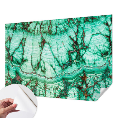 Samolepilna fototapeta za dnevno sobo Zeleni vzorci