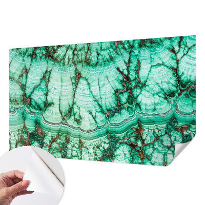Samolepilna fototapeta za dnevno sobo z zelenim vzorcem