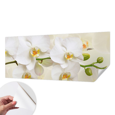 Samolepilna fototapeta z motivom cvetličnega bogastva