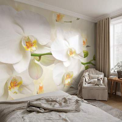 Samolepilna fototapeta Cvetlično bogastvo