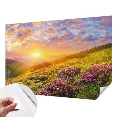 Samolepilna fototapeta za dnevno sobo z motivom gorskega zahoda