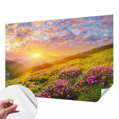 Samolepilna fototapeta za dnevno sobo z motivom gorskega zahoda