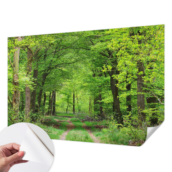 Samolepilna fototapeta z motivom gozdne poti
