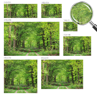 Samolepilna fototapeta z motivom gozdne poti